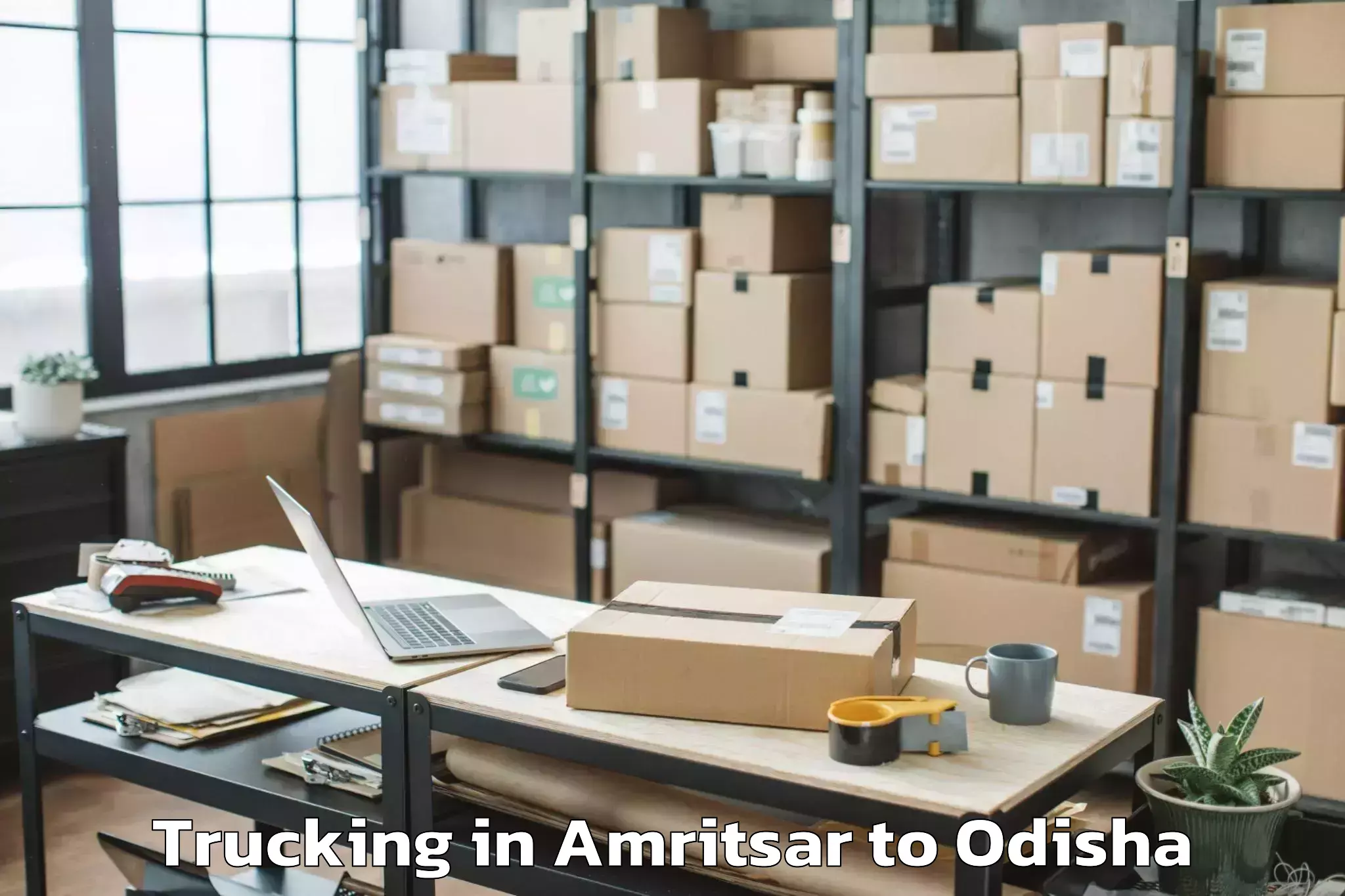 Top Amritsar to Odagaon Trucking Available